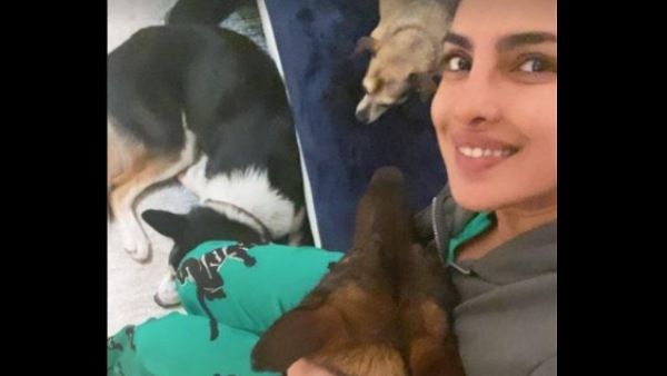 Priyanka Chopra Bonding With Her Pet Dogs In Her Latest Post Is A Treat For All Dog Lovers