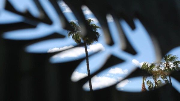 74th Festival De Cannes Will Take Place From 6 To 17 July 2021, Accreditations Open!