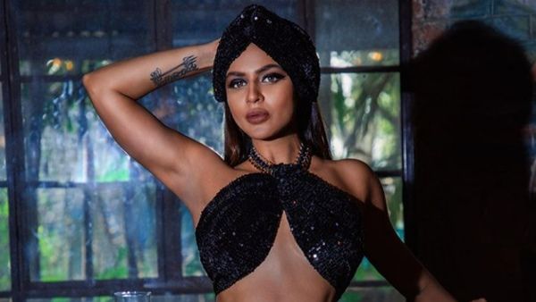 Aashka Goradia Quits Acting; The Naagin Actress Reveals Reason Behind Her Decision