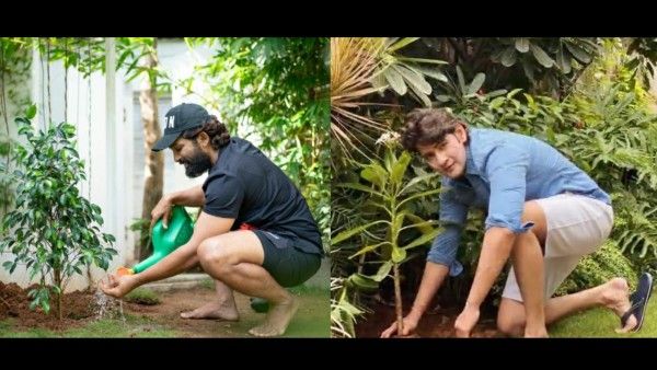Allu Arjun And Mahesh Babu Send Out Strong Messages On World Environment Day
