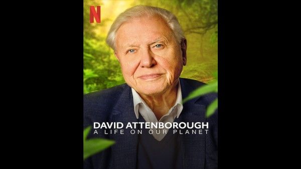 What To Watch On Netflix On Nature Conservation Day