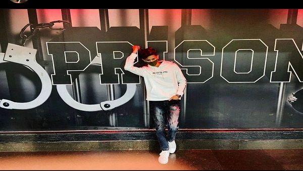 Ali Hamza Afzal, Booming Artist In The Entertainment Industry