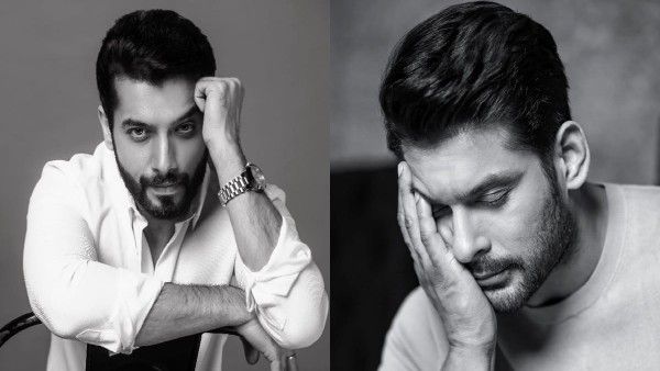 Sharad Malhotra On Sidharth Shukla's Death: Important To Celebrate Every Moment In Life