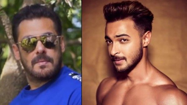 Salman Khan On Aayush Sharma: I Was Shocked To See His Huge Transformation From LoveYatri To Antim