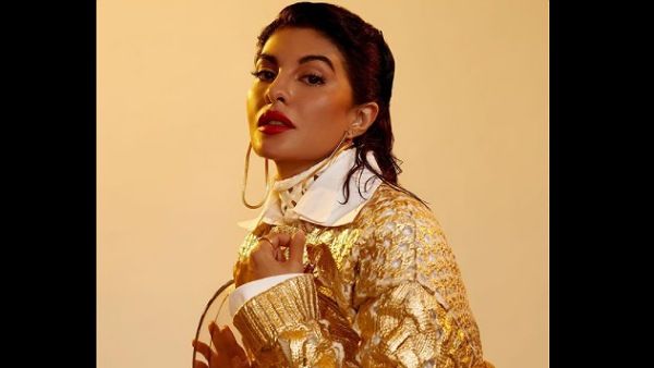 Jacqueline Fernandez Was Offered Ambitious Hollywood And South Movies & Series By Sukesh Chandrashekhar?