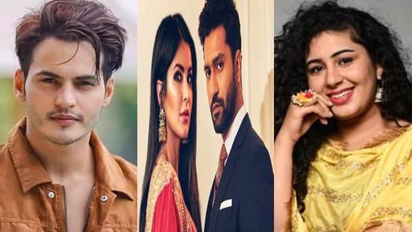 Vicky-Katrina Wedding: Ravi Bhatia, Geetika Mehandru & Other TV Celebs Share Excitement (EXCLUSIVE)