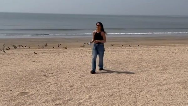 Shehnaaz Gill Plays With Pigeons On The Beach; Fans Shower Her With Love; See Comments