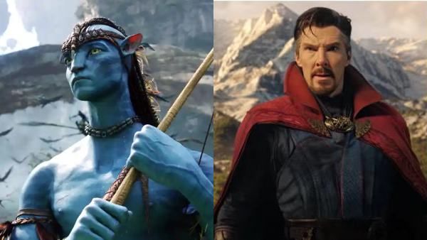 Avatar 2 Trailer To Release With Benedict Cumberbatch's Doctor Strange In The Multiverse of Madness: Report