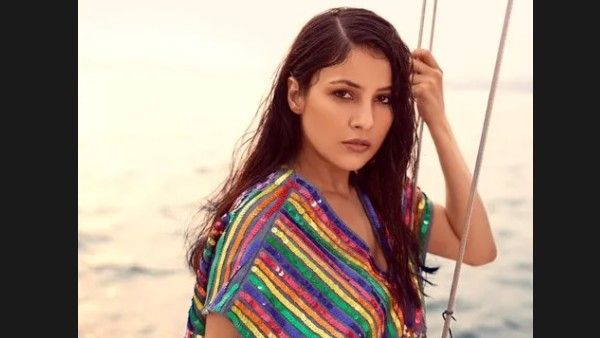 Shehnaaz Gill Reveals If She & Salman Will Work Together; Says 'SidNaaz Was Life & It’ll Stay With Me Forever'