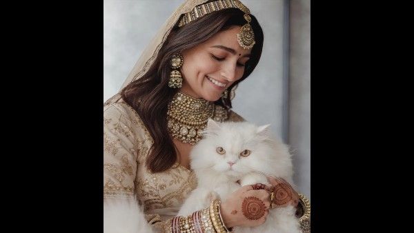 Alia Bhatt Poses With Her Cat Edward In New Pictures From Wedding, Actress Calls Her ‘Cat Of Honour’
