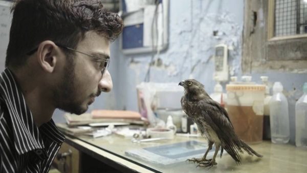 Cannes 2022: Indian Film All That Breathes Wins Top Documentary Award