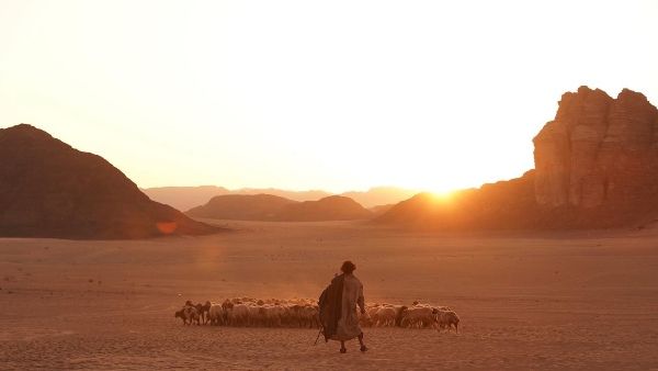 Prithviraj Sukumaran & Blessy Wrap Up Aadujeevitham; The Film To Premiere In Cannes Next Year?