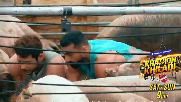 Khatron Ke Khiladi 12: Nishant Bhat Says Never In His Wildest Dreams He Thought That A Pig Would Attack Him