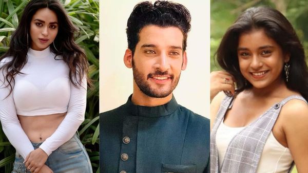 Bigg Boss 16: Tina Datta To Gori Nagori 14 Confirmed Contestants To Play On Salman Khan's Show