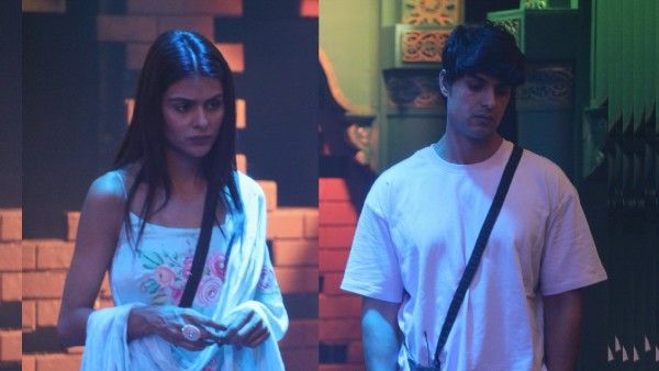 Bigg Boss 16 December 20 Highlights: Housemates Gang Up Against Priyanka Chahar Choudhary & Ankit Gupta