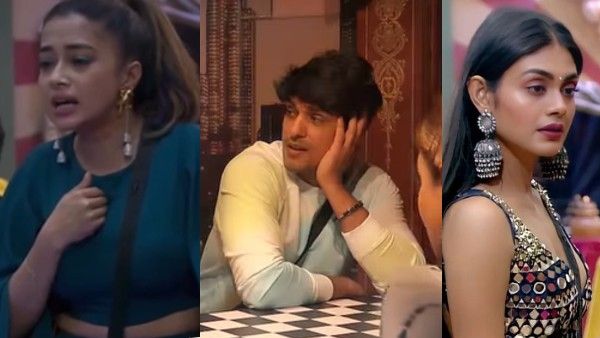 Bigg Boss 16: Tina Datta, Sreejita De, Ankit Gupta & Vikas Manaktala Get Nominated For Elimination