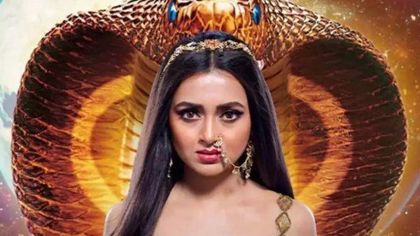 Naagin 6 Finale: After Adaa Khan, 3 Popular Actresses To Return As Naagins For Tejasswi Prakash’s Show