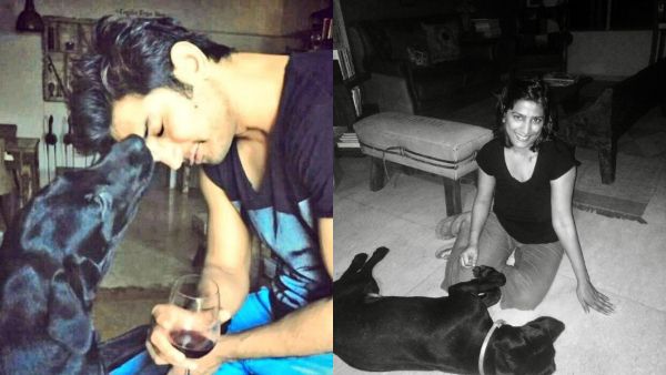 Sushant Singh Rajput's Pet Dog Passes Away Days Before His Birth Anniversary, Sister Says 'You Joined...'