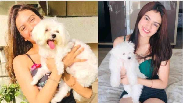 Holi 2023: Kashika Kapoor Shows Her Concern For Stray Animals On The Festival Of Colours