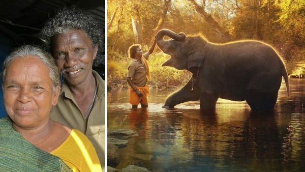 The Elephant Whisperers: Where To Watch Guneet Monga's Oscar Winning Documentary About The Mudhumalai Couple