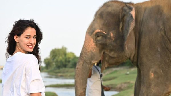Disha Patani Shares Her Incredible Experience Of Her Visit At A Wildlife Sos Centre, Check This Video Out!