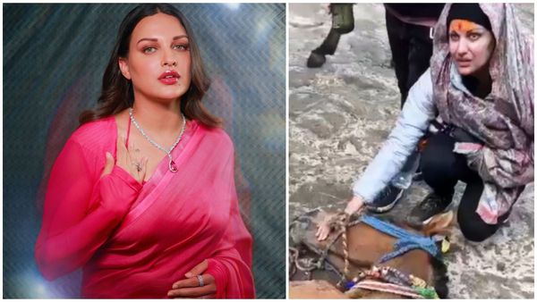 Himanshi Khurana Cries As She Watches Unconscious Horse At Kedarnath Trek: Are You Trying To Worship Shiva...