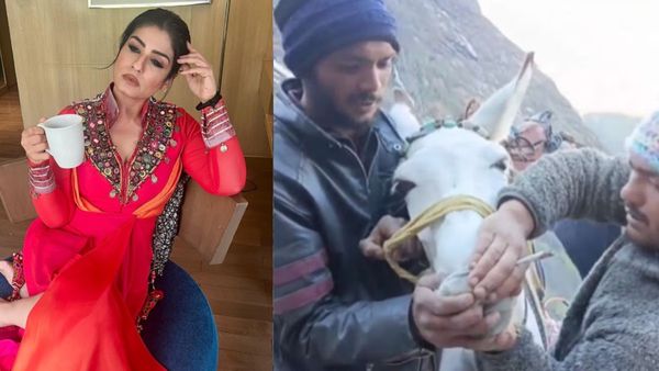 SHOCKING: Men Force Horse To Smoke On Kedarnath Trek In A Viral Video; Raveena Tandon, Karishma Tanna React
