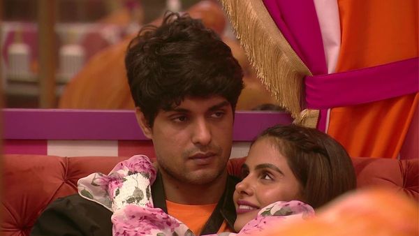 Priyanka Chahar Choudhary Wants THIS Thing As Her Birthday Gift. No, It's Not Related To Ankit Gupta