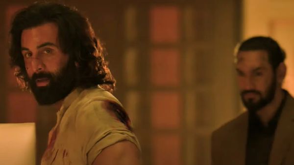 Animal Box Office Collection Prediction: Ranbir’s Film To Beat SRK’s Pathaan, Salman’s Tiger 3 In 3 Days?