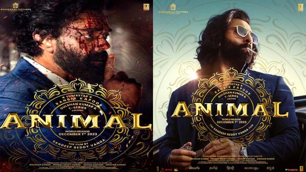 Animal Theatrical Business: Ranbir Kapoor-Sandeep Reddy Vanga's Telugu Rights Sold For A Whopping Rs...