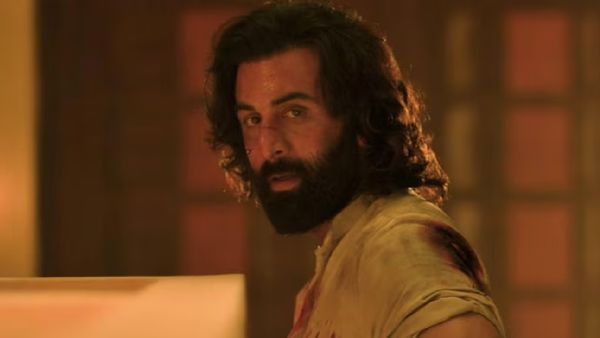 Animal Day 12 Advance Booking Report: Ranbir’s Film To Witness Major Fall On 2nd Tuesday After Crossing 400Cr