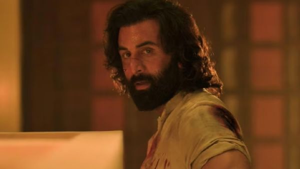 Animal Box Office Day 17: Ranbir’s Film To Cross 500Cr; Will It Cross Gadar 2 Lifetime Collection In 3rd Week?