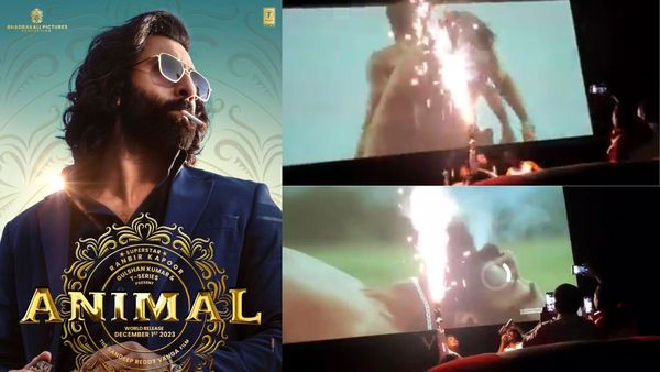 Viral: After Tiger 3, Animal Screening Witnesses Fireworks By Fans In Theatres. Watch VIDEO