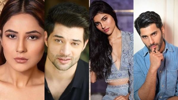 Year Ender 2023: Alizeh Agnihotri To Rajveer Deol; 6 Newcomers Who Entered Bollywood This Year