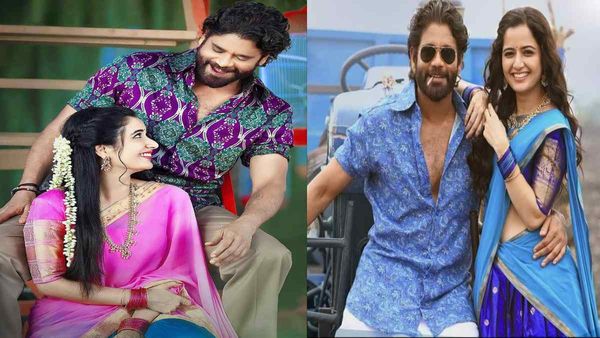 Naa Saami Ranga Box Office Collection Day 4 Prediction: Nagarjuna's Sankranti Release Holds Great Post Weekend