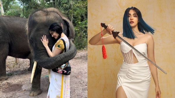 Adah Sharma Viral Video: The Kerala Story Actress Gives Elephants A Bath, Her Fitness Regime Will Surprise You
