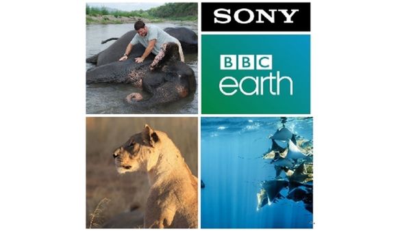 7 Shows To Watch On Sony BBC Earth As It Completes 7 Years