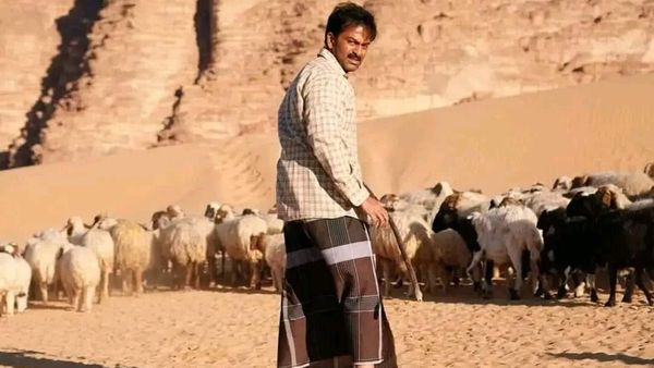 Aadujeevitham Box Office Collection Day 15 Prediction: Prithviraj's Movie To Maintain Strong Performance