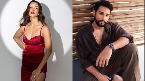 After Bhool Bhulaiyya 3, Triptii Dimri To Romance Siddhant Chaturvedi In THIS Romantic Sequel; WATCH