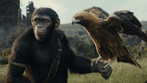 Kingdom Of The Planet Of The Apes X Review: Netizens In Awe Of Wes Ball’s Film; Call It ‘Incredible’