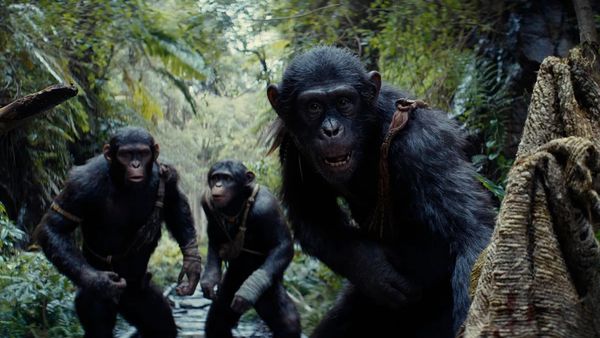 Kingdom Of The Planet Of The Apes OTT Release Date: Here’s When & Where Wes Ball’s Film Will Be Out On OTT