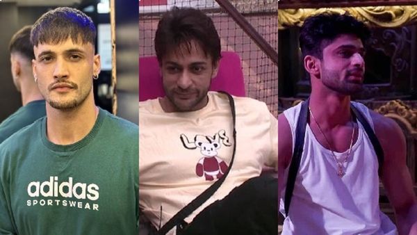 Khatron Ke Khiladi 14: Asim Riaz Shares Cryptic Post On Apology Amid Fight Rumours With Abhishek Kumar-Shalin