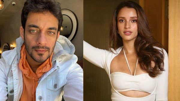 Bad Newz Release: Who Is Triptii Dimri BF? Rumored Beau Reacts To Actress Performance; Says 'Ufff...'