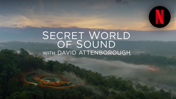 Secret World Of Sound With David Attenborough: Netflix Release Date And Other Details