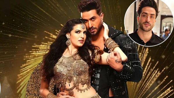 Why Did Aly Goni & Natasa Stankovic Break Up? Big HINT Dropped: 'Usne Mujhe Bola Ki...'