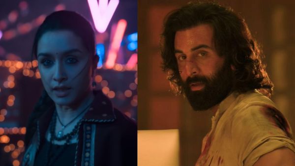 Stree 2 Box Office Collection Day 15: Shraddha’s Film Crosses 430Cr; Beats Animal To Create A Record