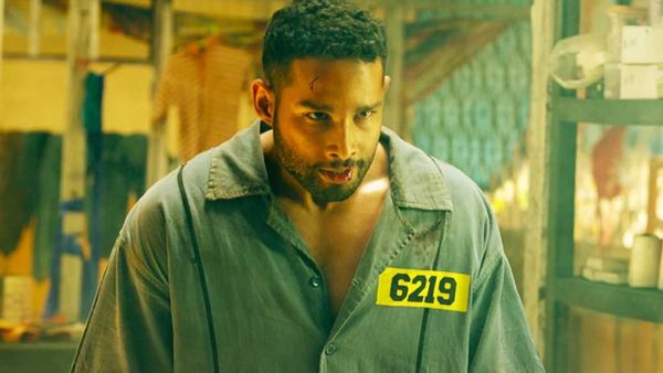 Yudhra Box Office Day 1 Prediction: Siddhant-Malavika’s Film To Have A Decent Start; Will It Beat Kill? - EXCL