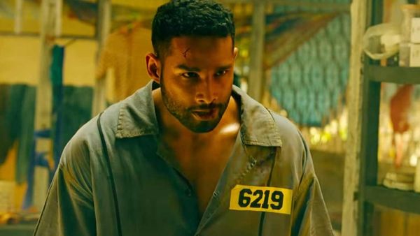 Yudhra Box Office Collection Day 3: Siddhant’s Film Sees Hike On 1st Sunday; Crosses 8Cr