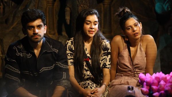Bigg Boss 18 Nominations Week 3: Avinash & 6 Others Nominated; Here’s How To Vote On Jio Cinema - STEPS