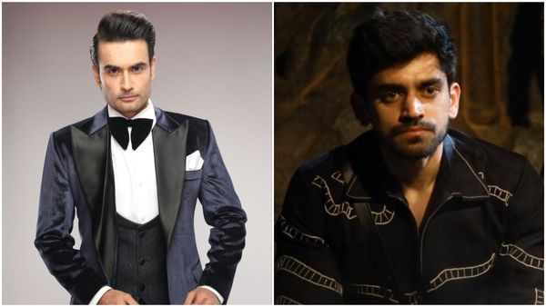 Bigg Boss 18: New Friendship Alert! Vivian Dsena And Avinash Mishra Bond With Each Other - Check DEETS